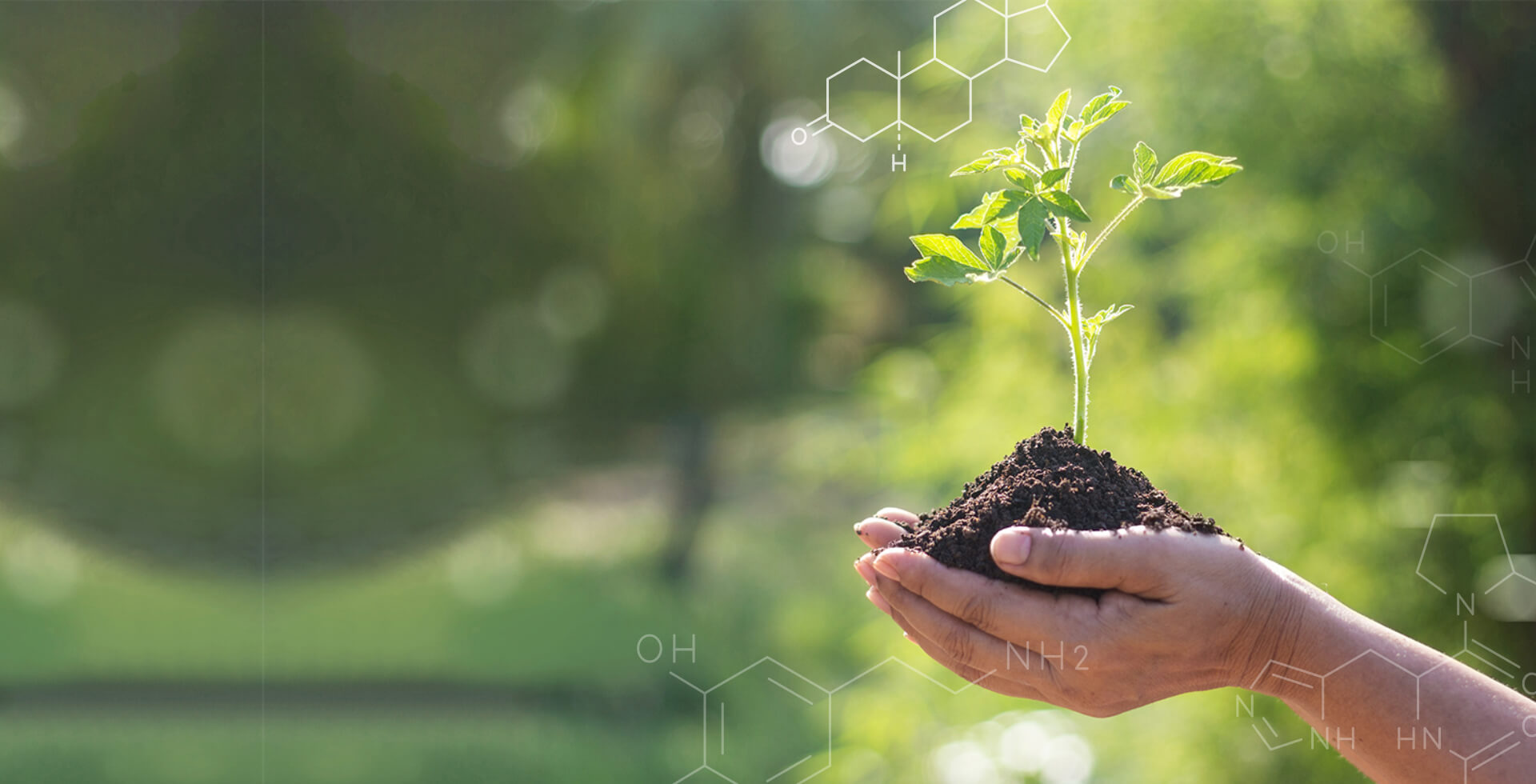 Surpassing Expectations through Innovations