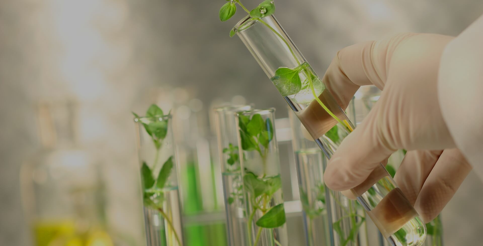 Surpassing Expectations through Innovations